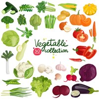 Vector gratuito colección de verduras y hierbas