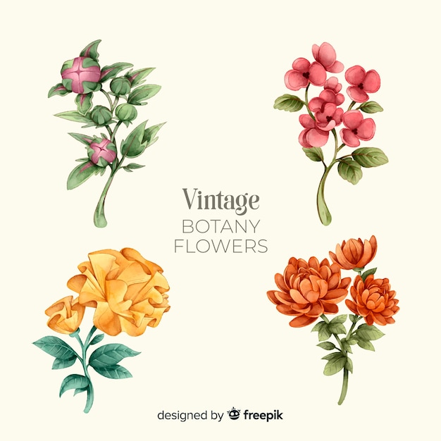 Colección vintage de flores de botánica