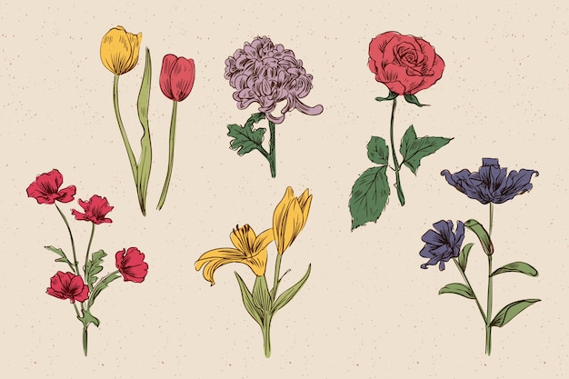 Vector gratuito colección vintage de flores de botánica