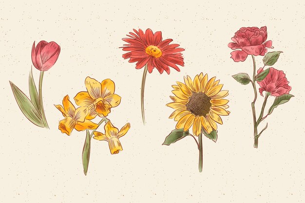 Colección vintage de flores de botánica