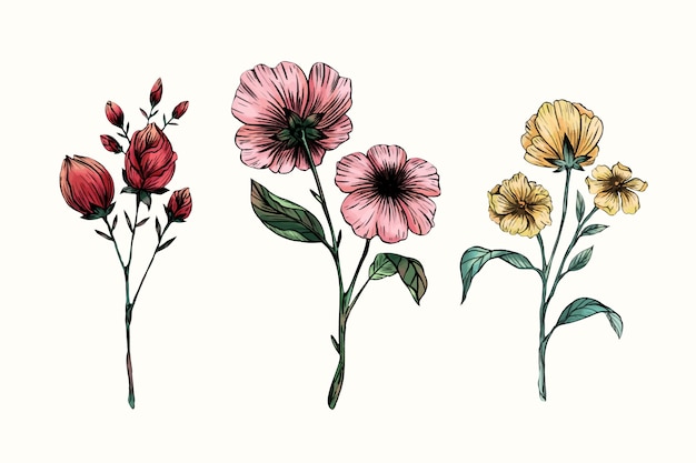 Colección vintage de flores de botánica