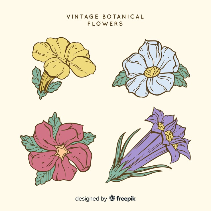 Vector gratuito colección vintage de flores botánicas