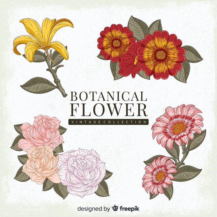 Vector gratuito colección vintage de flores botánicas