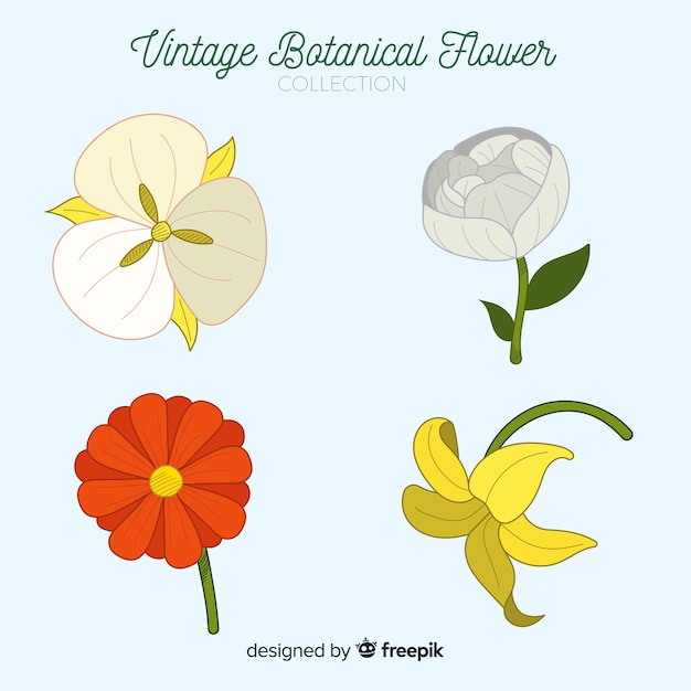Colección vintage de flores botánicas