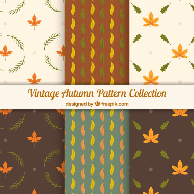 Colección vintage de patrones de otoño