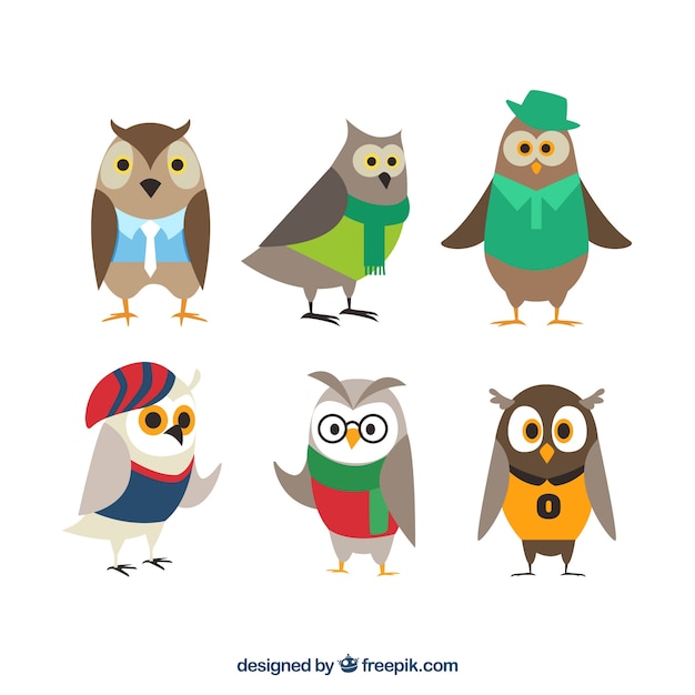 Vector gratuito collection of owls with clothes colección de búhos con ropa