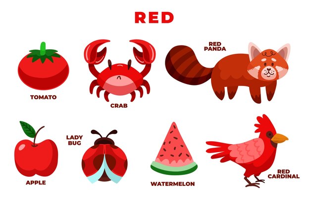 Colores y vocabulario en inglés