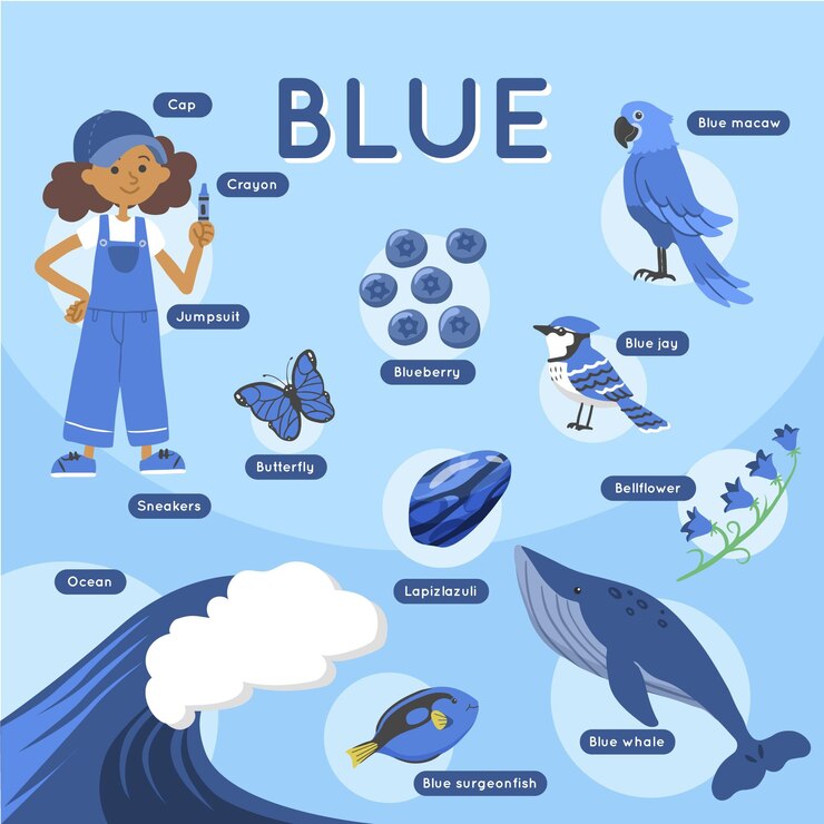 Vector gratuito colores y vocabulario en inglés