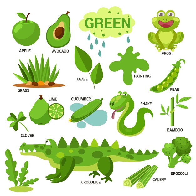 Colores y vocabulario en inglés