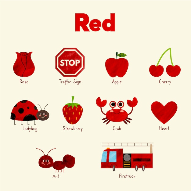 Colores y vocabulario en inglés