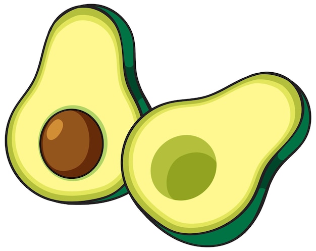 Colorful Vector Illustration of Avocado Halves
