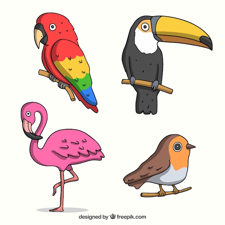 Vector gratuito colorida colección de aves dibujadas a mano.
