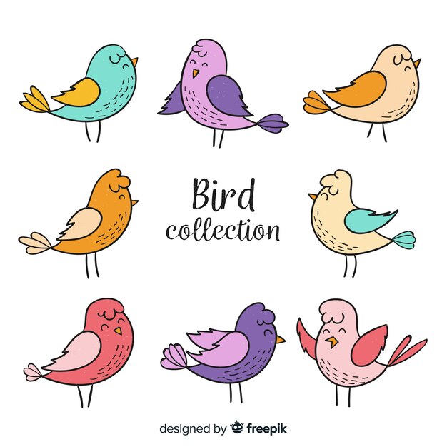 Colorida colección de aves dibujadas a mano.