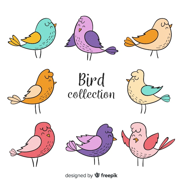 Colorida colección de aves dibujadas a mano.