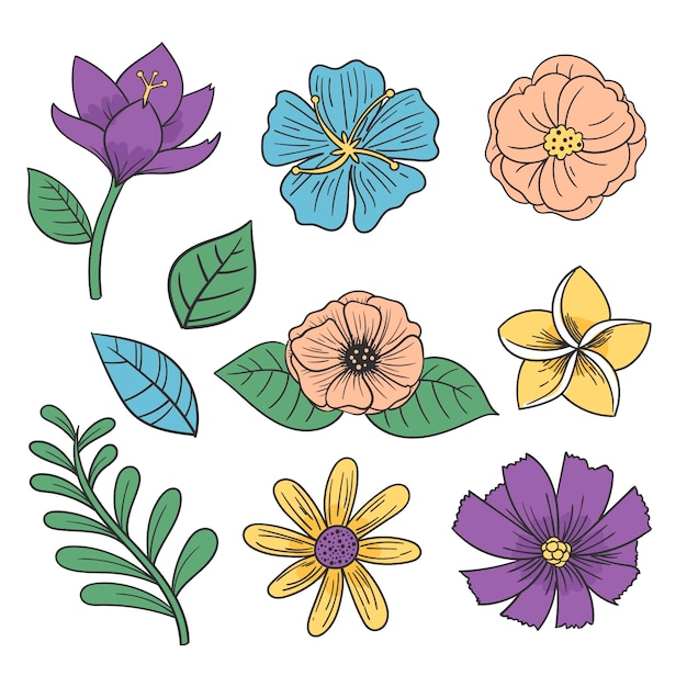 Colorida colección de flores dibujadas a mano.