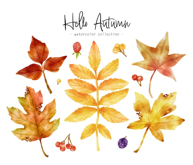 Colorida ilustración de acuarela de hoja de otoño para elemento decorativo
