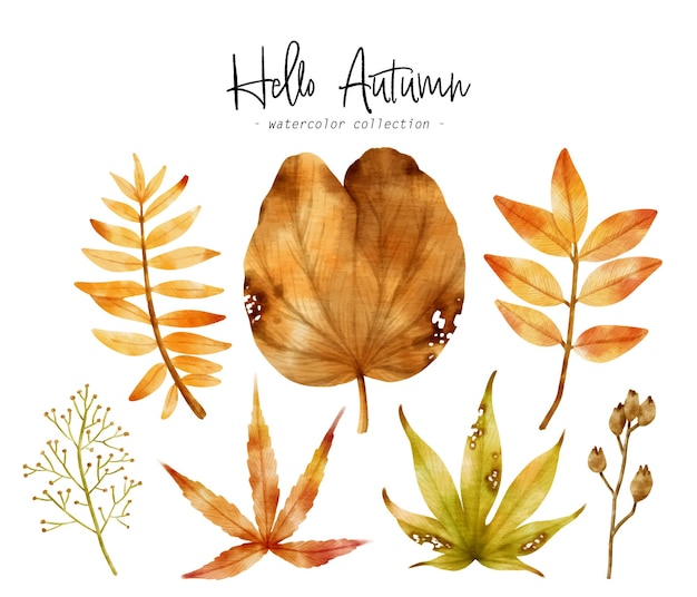 Vector gratuito colorida ilustración de acuarela de hoja de otoño para elemento decorativo