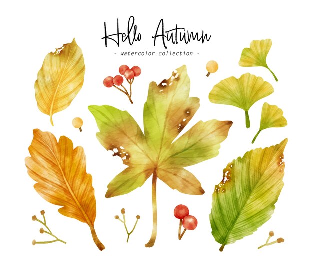 Colorida ilustración de acuarela de hoja de otoño para elemento decorativo