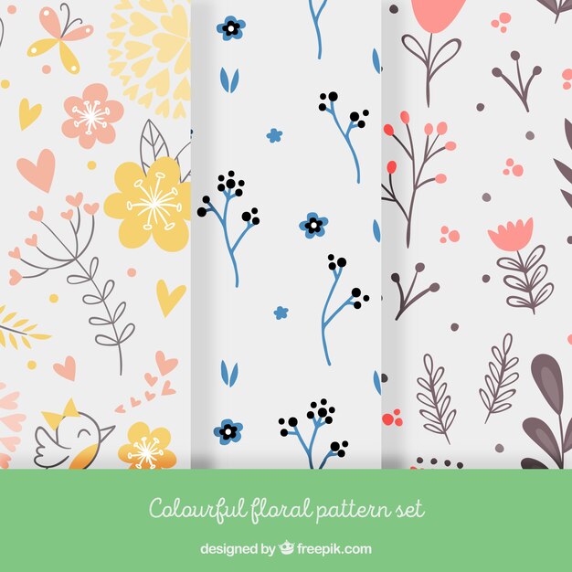 Colorido conjunto estampado de flores