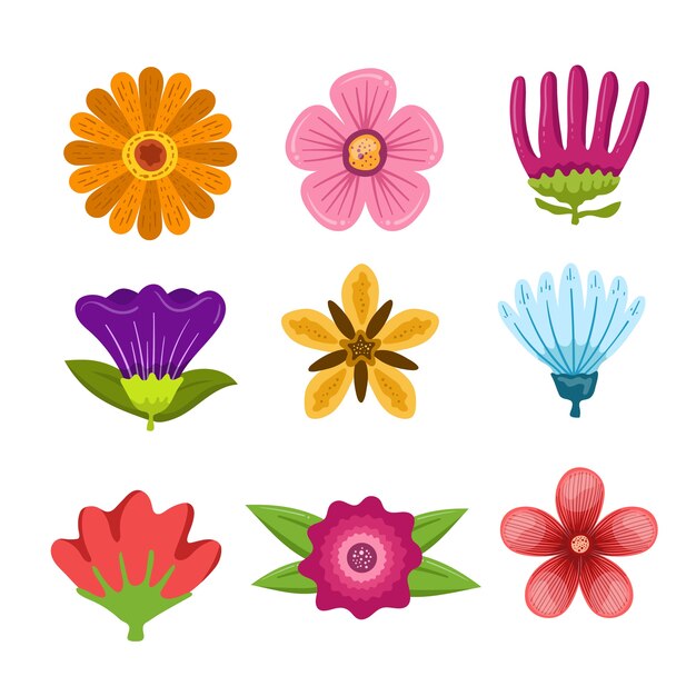 Colorido conjunto de flores dibujadas a mano