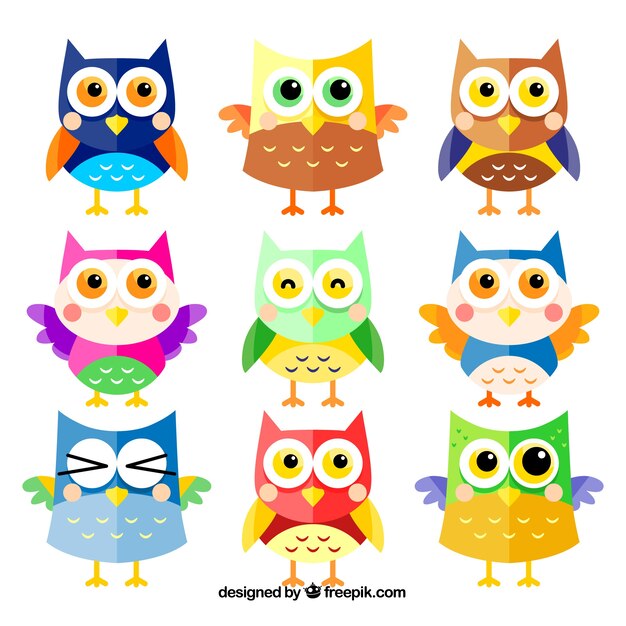 Colorido conjunto de nueve búhos de dibujos animados