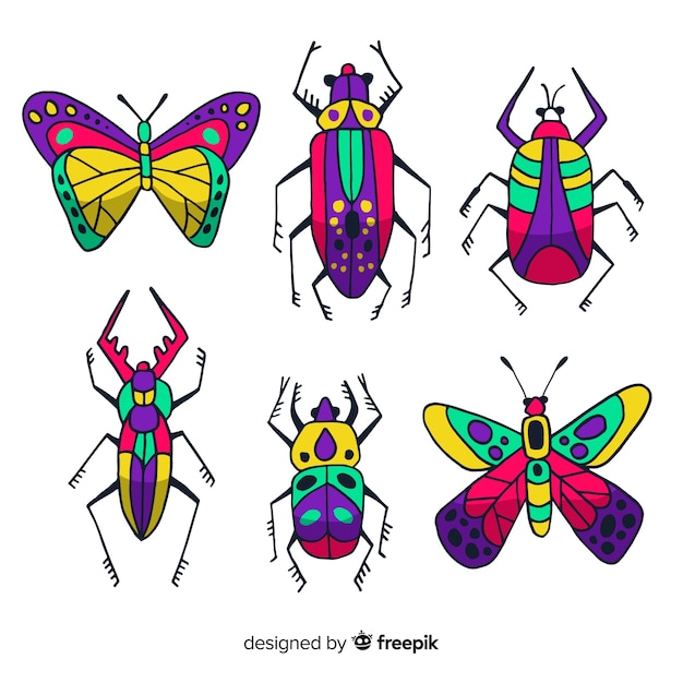El colorido paquete de insectos dibujados a mano