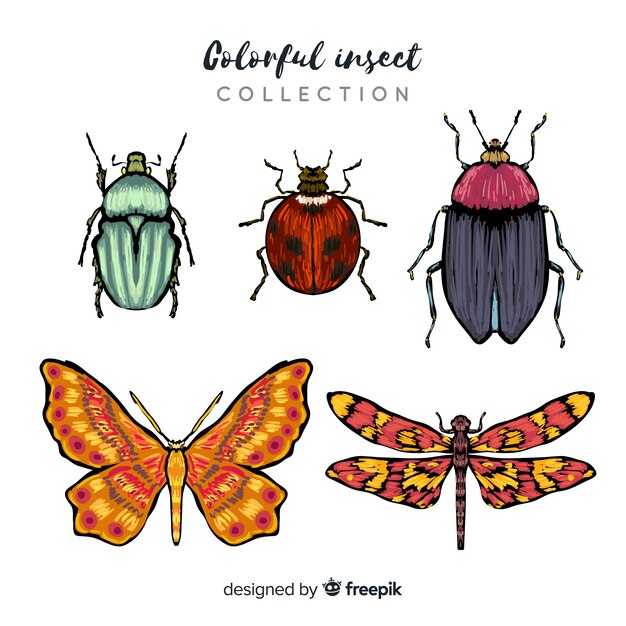 El colorido paquete de insectos dibujados a mano