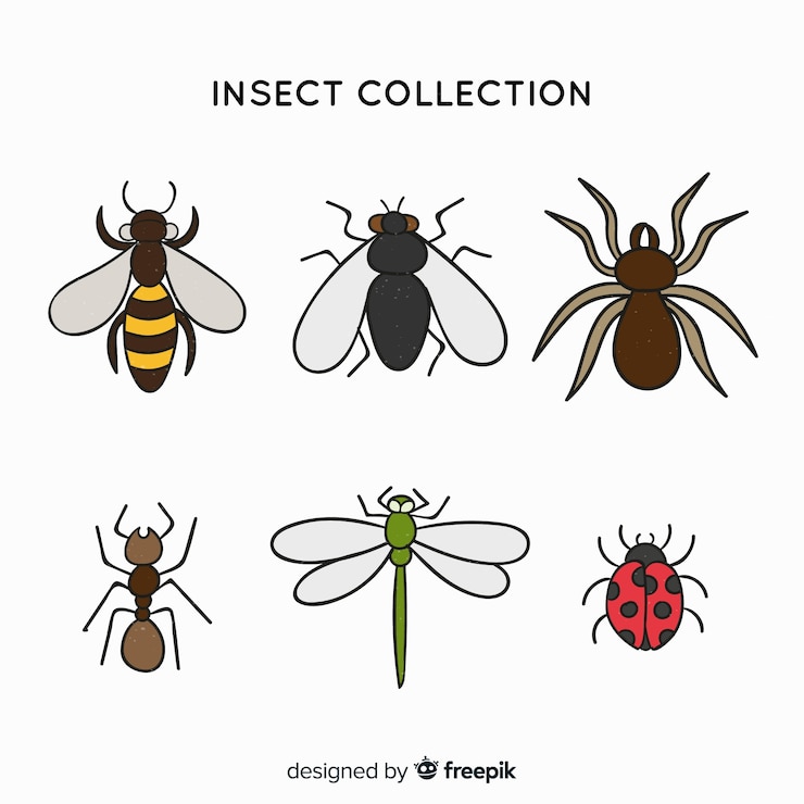 Vector gratuito el colorido paquete de insectos dibujados a mano