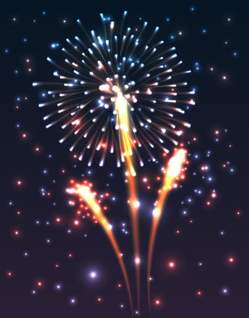 Coloridos fuegos artificiales por la noche