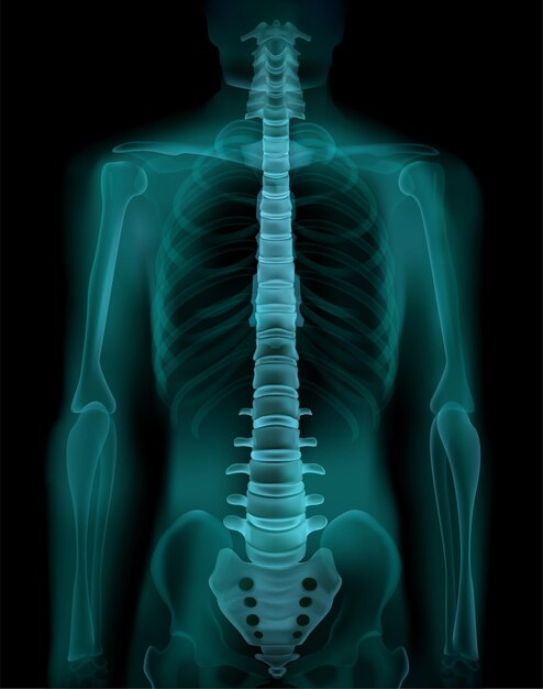 Columna vertebral humana y pelvis radiografía ct realista imagen de examen de detección médica de fluoroscopia de radiografía