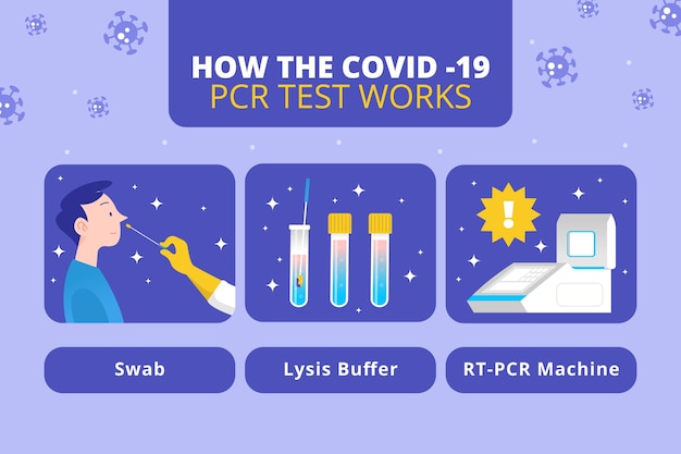 Vector gratuito cómo funciona la prueba pcr pasos