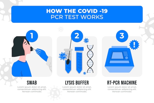 Como funciona la prueba pcr