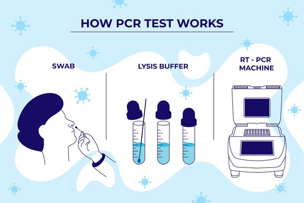 Como funciona la prueba pcr