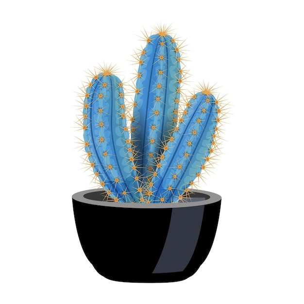 Composición de cactus con imagen aislada de pilosocereus magnificus en maceta en blanco
