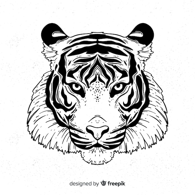 Composición clásica de tigre dibujada a mano