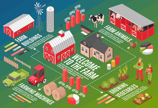 Vector gratuito composición de diagrama de flujo horizontal de granja isométrica con símbolos de infografía, iconos de gráfico, subtítulos de texto editables e imágenes de granja