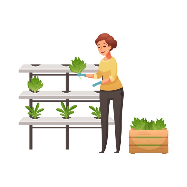 Composición de dibujos animados aeropónicos hidropónicos de cultivo vertical de invernadero con ilustración de vector de trabajadora