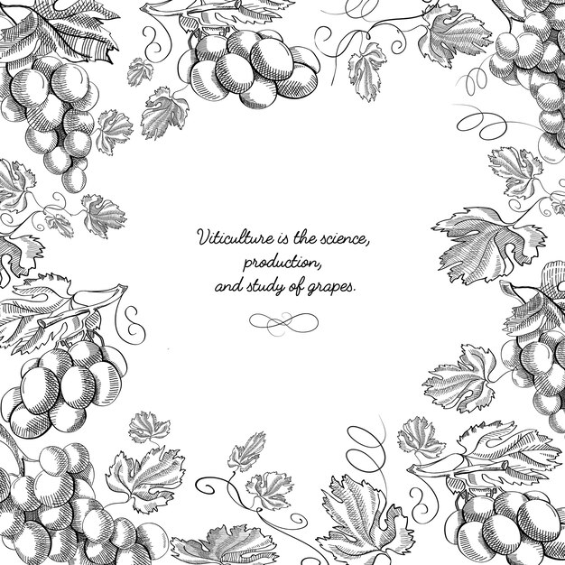 Composición de doodle de marco creativo en blanco y negro con ramitas y tallos de uvas deliciosas ilustración dibujada a mano