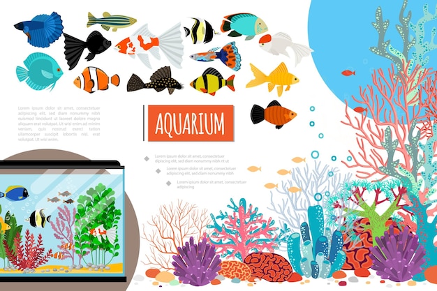 Composición de elementos de acuario plano con exóticos peces coloridos corales piedras de algas y burbujas de agua