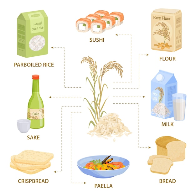 Vector gratuito composición infográfica plana de productos de arroz con diagrama de flujo de imágenes de productos y comidas con leyendas de texto editables ilustración vectorial