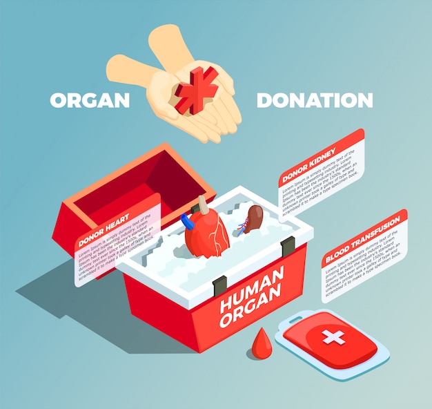 Vector gratuito composición isométrica de donación de órganos