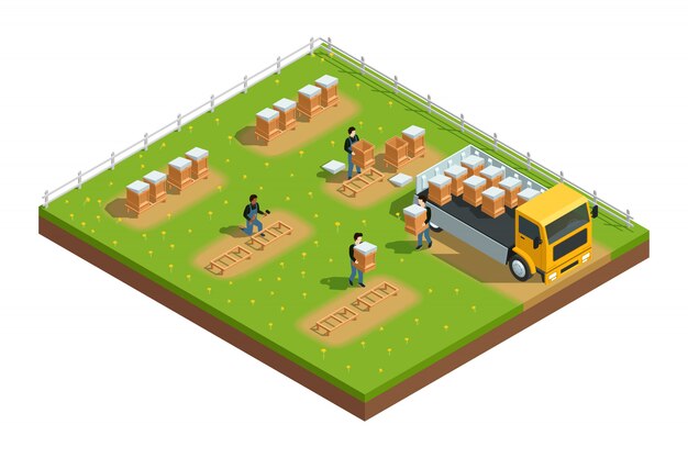 Composición isométrica de la escena con trabajadores instalando colmenas para colmenares de apicultura en pasto con flo