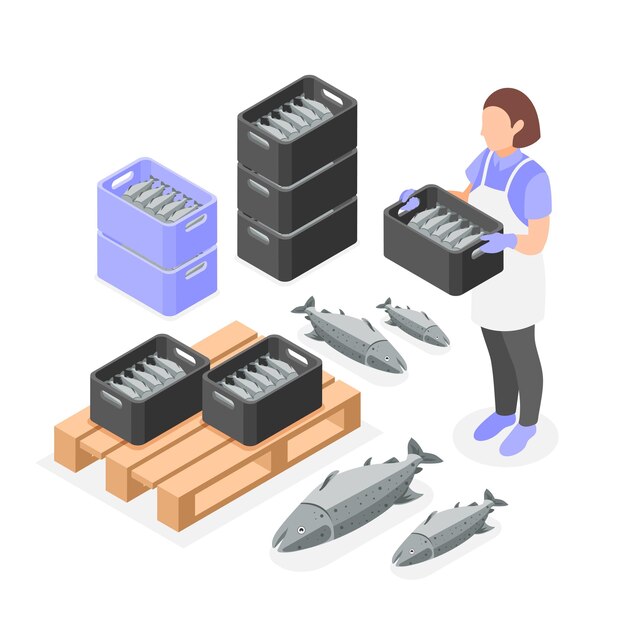 Composición isométrica de maricultura con trabajadora cargando cajas con ilustración de vector de pescado fresco