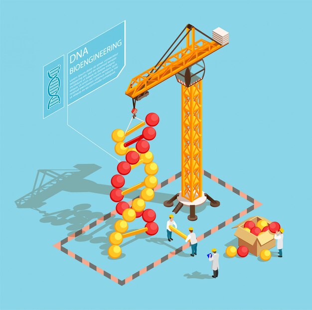 Composición isométrica de ogm