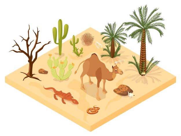 Composición isométrica del paisaje del desierto con representantes de la flora y la fauna locales ilustración vectorial 3d