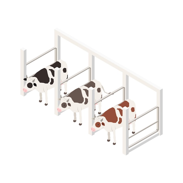 Vector gratuito composición isométrica de producción de leche con imagen aislada de rango con vacas en ilustración de vector de fondo en blanco