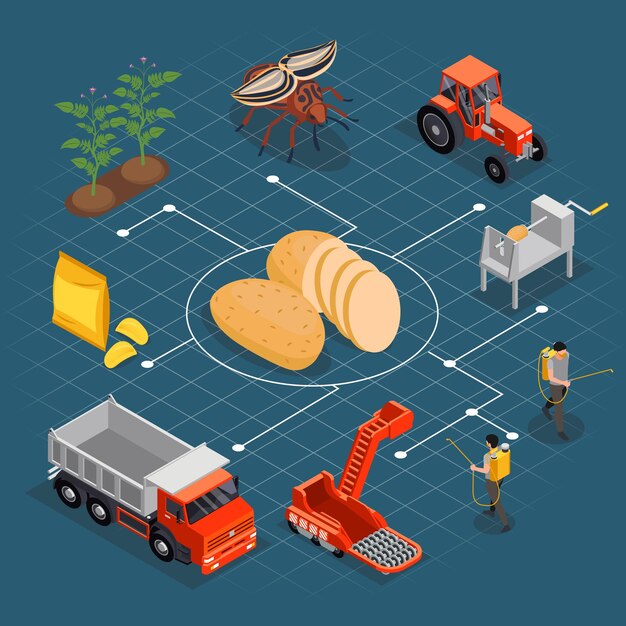 Composición isométrica de producción de papas fritas con diagrama de flujo de imágenes aisladas con plantas de maquinaria de personas e ilustraciones de vectores de chips