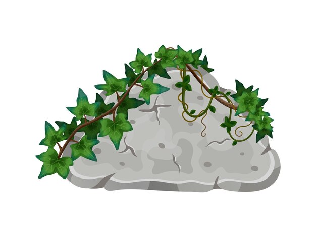 Composición de lianas de selva tropical con imagen de piedra cubierta por ilustración de vector de liana salvaje