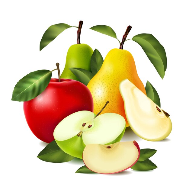 Composición de manzana de pera realista coloreada manzanas de peras enteras y en rodajas de diferentes variedades ilustración vectorial
