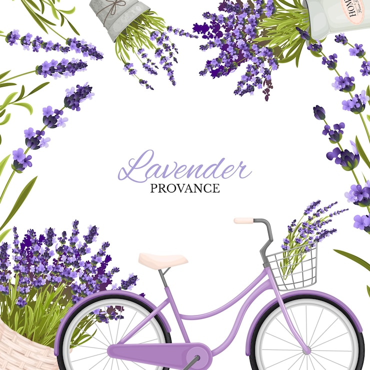 Vector gratuito composición de marco de lavanda con texto adornado rodeado de racimos de flores violetas e ilustración de vector de imagen de bicicleta púrpura